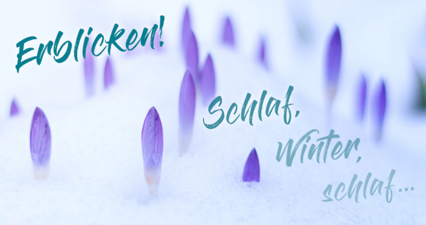 Frühlings-Check ab CHF 59.-